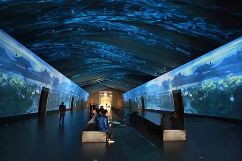 科技賦能，連接古今 探索博物館發(fā)展的新趨勢(shì)